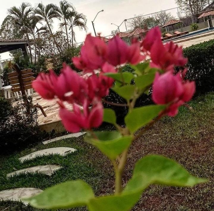 Pousada Recanto Dos Passaros Balsas Exterior foto